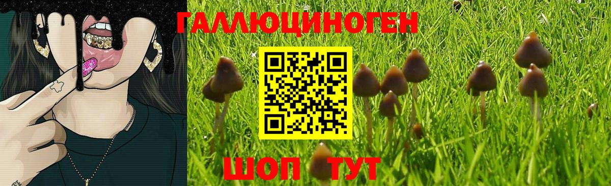 Галлюциногенные грибы мицелий  дарнет шоп  Ханты-Мансийск  Вход с VPN 